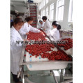 Red Dates Processing Line With High Output